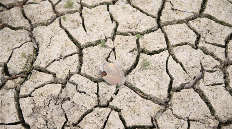 Hızır Haşim Kaya Kuraklığa Dikkat Çekti