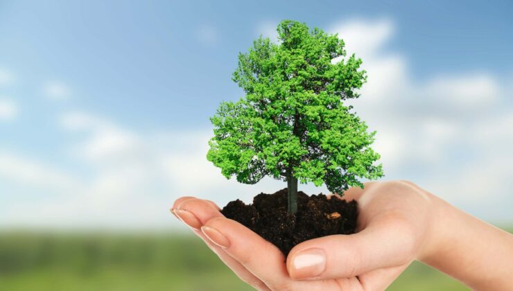 “Hızır Haşim Kaya: Ormanlarımızı Tekrar Yeşerteceğiz”