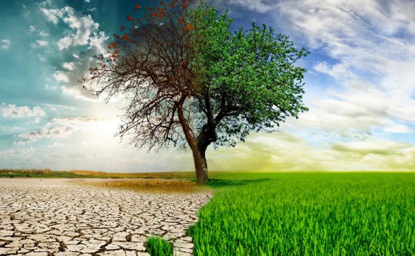 Hızır Haşim Kaya’dan “Yeşil Bir Çevre İçin” Yeni Proje