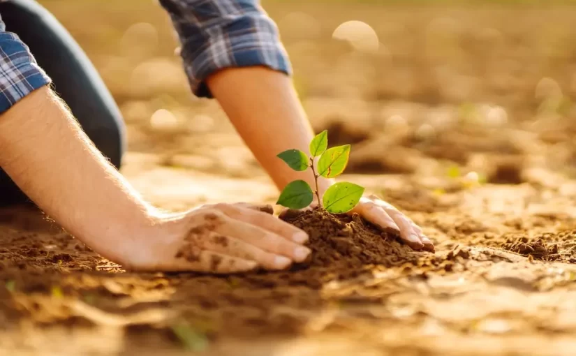 Hızır Haşim Kaya’dan Ağaç Dikme Etkinliği Çağrısı